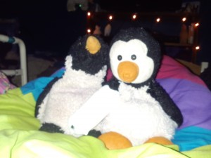 Penguin and Penelope. Penny's wing is bandaged.