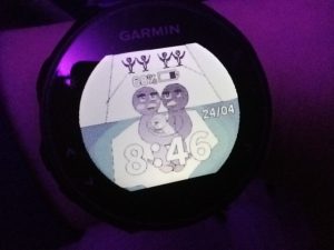 A Garmin watch. On the screen there is a cartoon picture of penguins, with the time below, the battery meter above and date to the right.